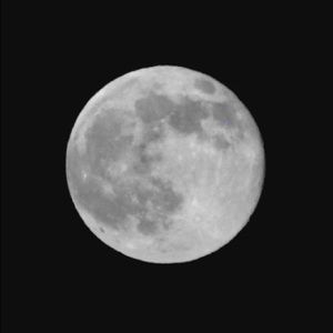 Meet your Posher, Jake